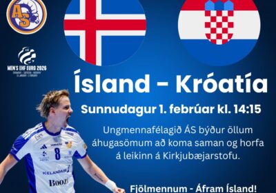 Áfram Ísland !! Horfum saman á leikinn á morgun á Kirkjubæjarstofu. Leikurinn byrjar kl. 14:15.